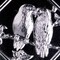 Bird Pour Box Chocolate Mold Elegant Lid with Flying Birds Design
